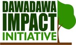 Dawadawa Impact Initiative